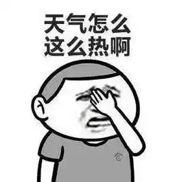 来了今天,正式开启整整40天
