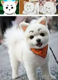 哥们,你从小是被谁带大的啊
