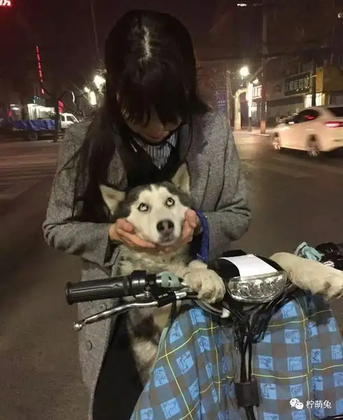晒一张你拍过老师和同学最搞笑的照片,哈哈哈哈哈哈哈
