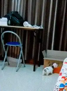 坐公交看到这雷人的一幕,小伙子你会让妹子打死的

