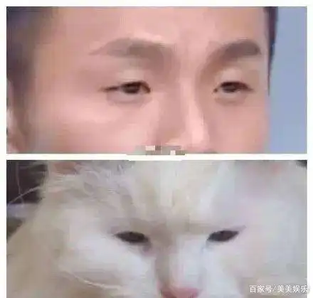 李荣浩撞脸小狗,爆笑回应对生物界有贡献,居然在狗面前没自信
