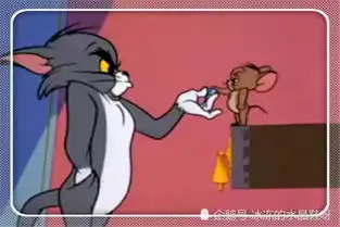 猫和老鼠佛系猫是什么梗任务简单,却也是是一种心理考验
