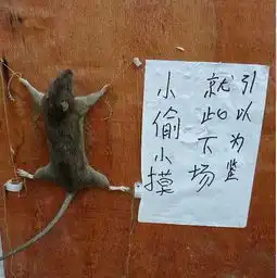 超搞笑图片,敢看笑晕你
