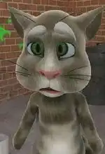 会说话的汤姆猫

