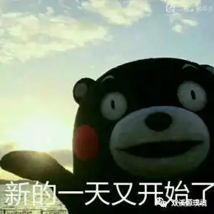 风里雨里,免费游安地活动依旧在等你
