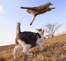 下一秒的悲剧看这些悲剧的瞬间搞笑图片
