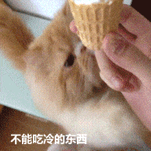 搞笑gif趣图大家看看,我的雪橇犬中是不是混进了哈士奇
