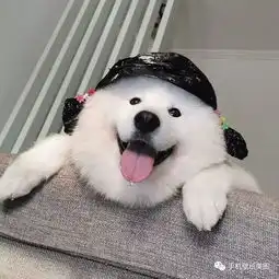 抖音比较火的头像,渣男头像高清图片
