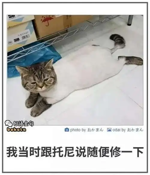 我要不要纠正他这眼保健操做得太有灵魂啦
