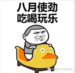 广东卷高考作文彻底火了段子手们简直嗨翻天了
