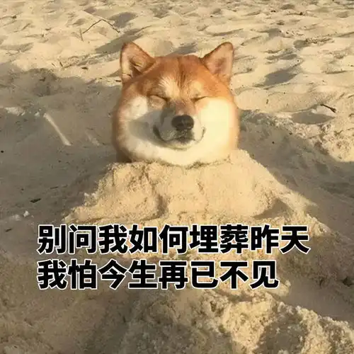 搞笑图片表情包可收藏使用手动狗头

