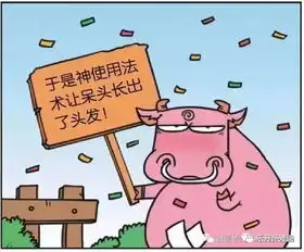 搞笑长头发
