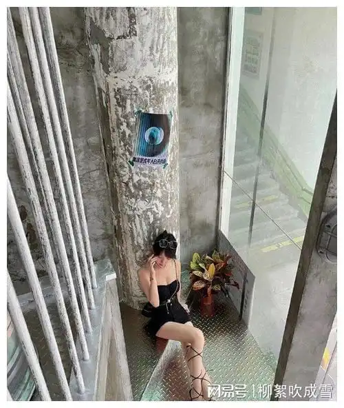 搞笑gif趣图赵丽颖老板,撑死算工伤吗说完自己都笑了
