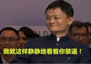 腾讯用数据碾压支付宝马云我就静静看你装13
