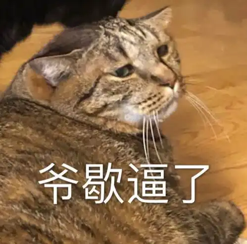 搞笑表情包图片我对傻子过敏

