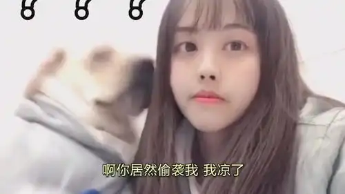爆笑小姐姐狗子不会配合,让我来吧
