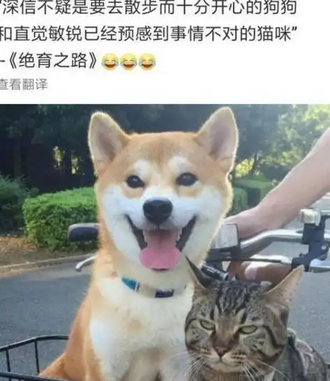 搞笑gif趣图现实版我和你吻鳖,这是在用生命搞笑啊
