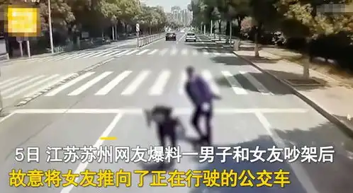 要死一起死,无所谓江苏一对情侣吵架,男子将女友推向公交车,回应更让人愤怒斑马线网易订阅
