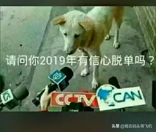 搞笑图片蓝翔挖掘机小哥表示多年的愿望终于实现了

