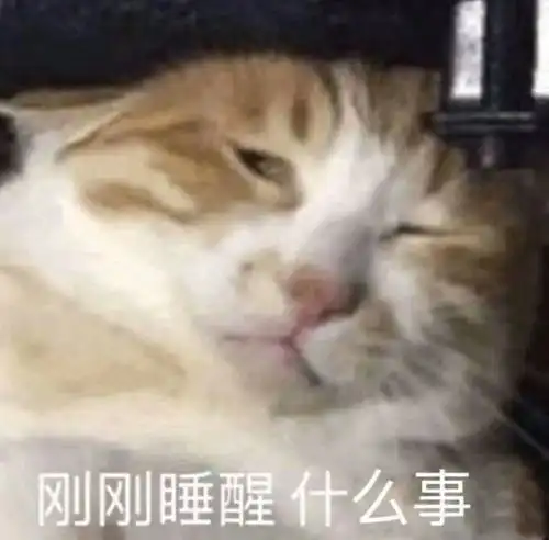 搞笑表情包图片我现在只想搞钱
