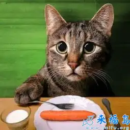 夏天很热,可是我们店的空调就是不肯开...
