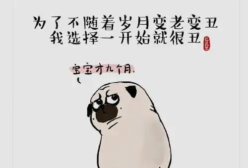 520情人节发朋友圈搞笑句子,句句一针见血,让人拍案狂笑
