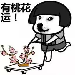 搞笑段子趣图同事出差外地提前回来了,敲门后他老婆不给开门
