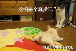 爆笑段子周末的时候,带男朋友来家里吃饭孩子
