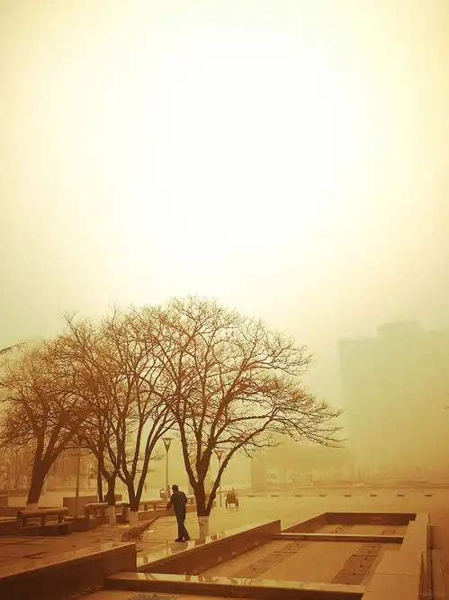 教你如何在雾霾天也能拍出好照片
