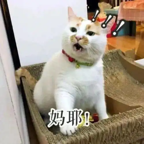 千万挺住气温猛降武汉开启大风降雨模式接下来的天气
