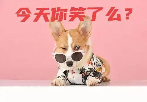 搞笑趣图公司能招到你俩真是老板的福气啊,应该涨工资
