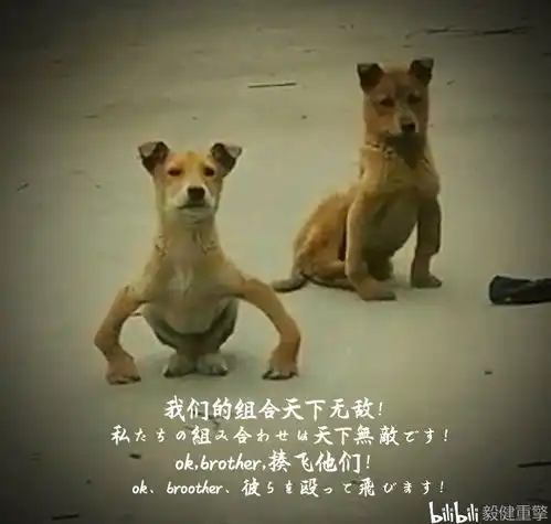 火影忍者手游恶搞趣图八收录一些早期有意思的制作
