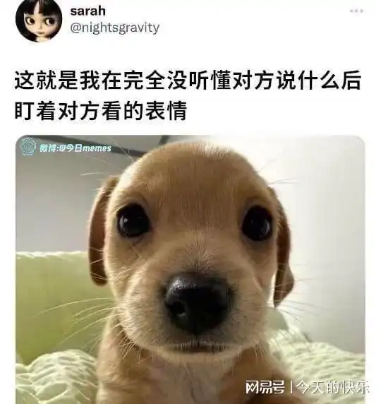搞笑图片第856期耗费蛋糕师一生功力才能做出来的蛋糕
