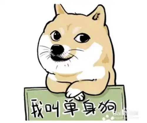 职场单身汪脱单指南做个上进汪,写在情人节
