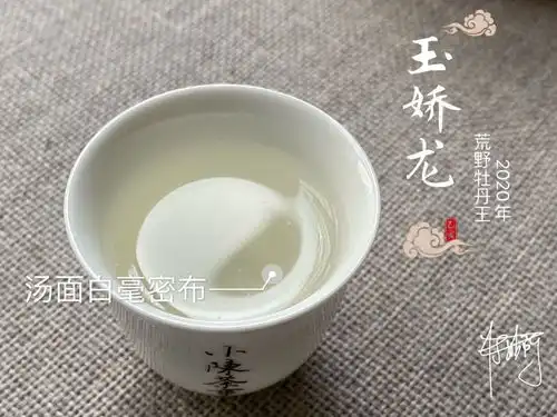 帮茶友鉴白茶,李麻花一看到图片就笑了,这也能叫牡丹王
