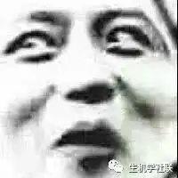 万圣节狂欢
