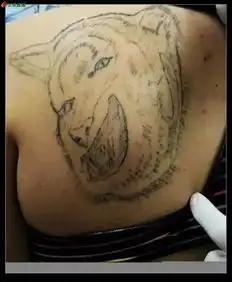 段子手丨搞笑我们是认真的.纹身我们是...呵呵
