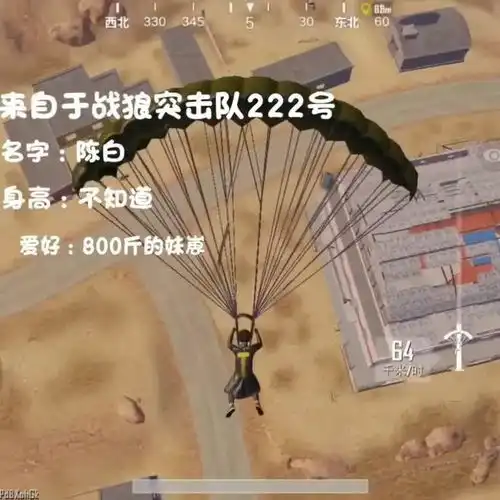 刺激战场职业选手居然落地成盒,爆笑吃鸡
