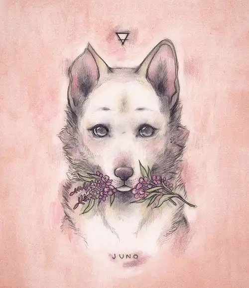 让人捧腹大笑的说说,幽默至极,笑到满地找牙

