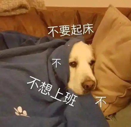 搞笑gif趣图这下子知道为什么有车的人才更容易有女朋友了吧

