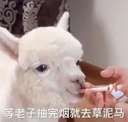 能不能分配个对象刮风下雨时和我抱在一起
