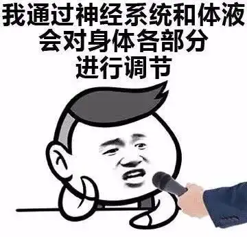 最低8压轴强冷空气来袭,斗门今年元旦会非常冷冷冷冷冷...
