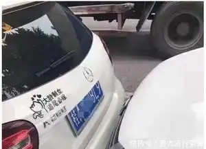 搞笑图片gif笑话段子第18期男子下河洗车被困,原因竟然是
