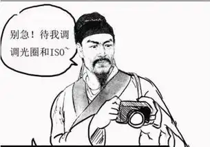 新手如何系统性的学习摄影
