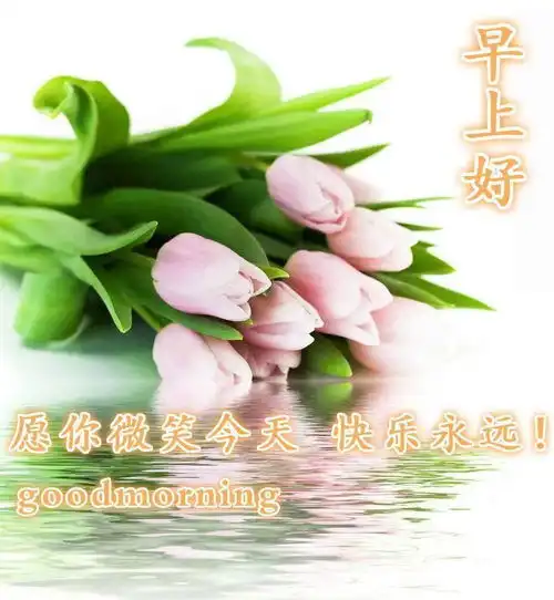 微信群发早上好问候祝福语录句子大全秋天早安问候图片带字表情动态
