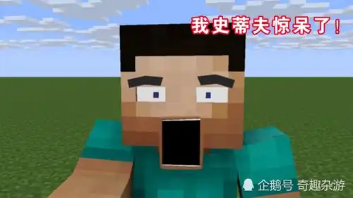 我的世界当mc遇上ps,动物地球都变成了方形,连史蒂夫都变了
