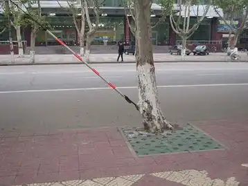 电业局与林业局的合作项目搞笑图片
