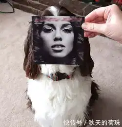 搞笑图片幽默段子笑话哥们,一路走好,碰到猪队友算你倒霉
