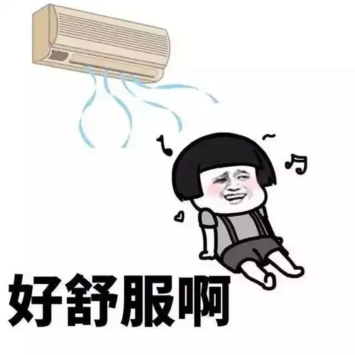 爆笑故事南瓜里面灌进翔,等南瓜长大后犹如炸弹,这威力真大
