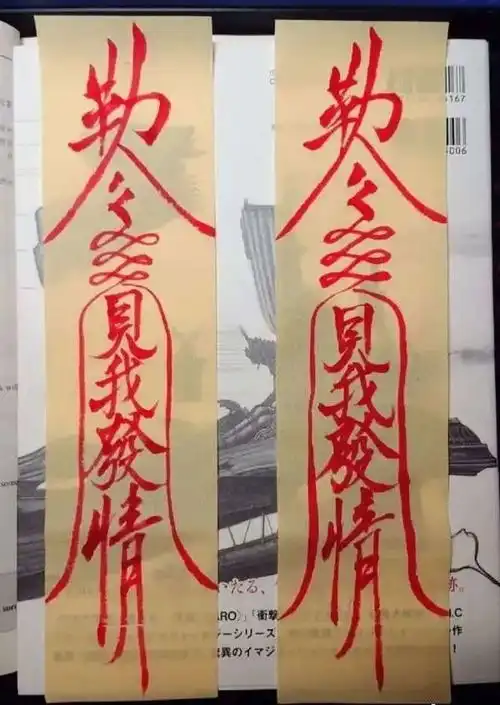 搞笑图片这是我第一次看懂道符
